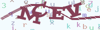 reload image