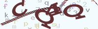 reload image