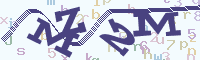 reload image