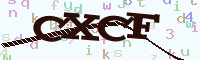 reload image