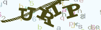 reload image