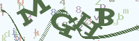 reload image