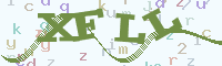 reload image
