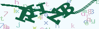 reload image