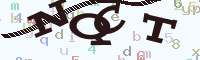 reload image
