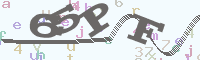 reload image
