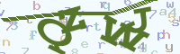 reload image