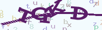 reload image