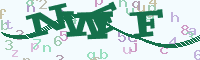 reload image