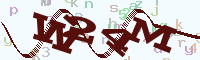 reload image