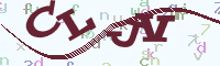 reload image