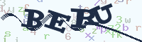 reload image