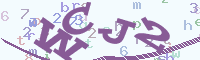reload image
