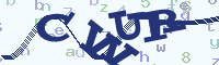reload image
