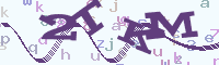 reload image