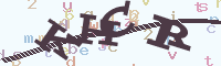reload image