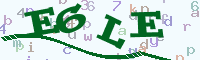reload image