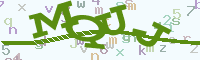 reload image