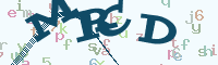 reload image