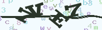 reload image