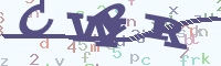 reload image