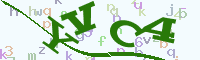 reload image