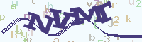 reload image