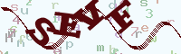reload image