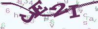 reload image