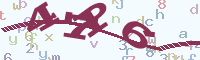 reload image